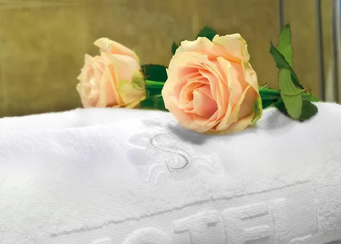 Senator Hotell Zbąszyń